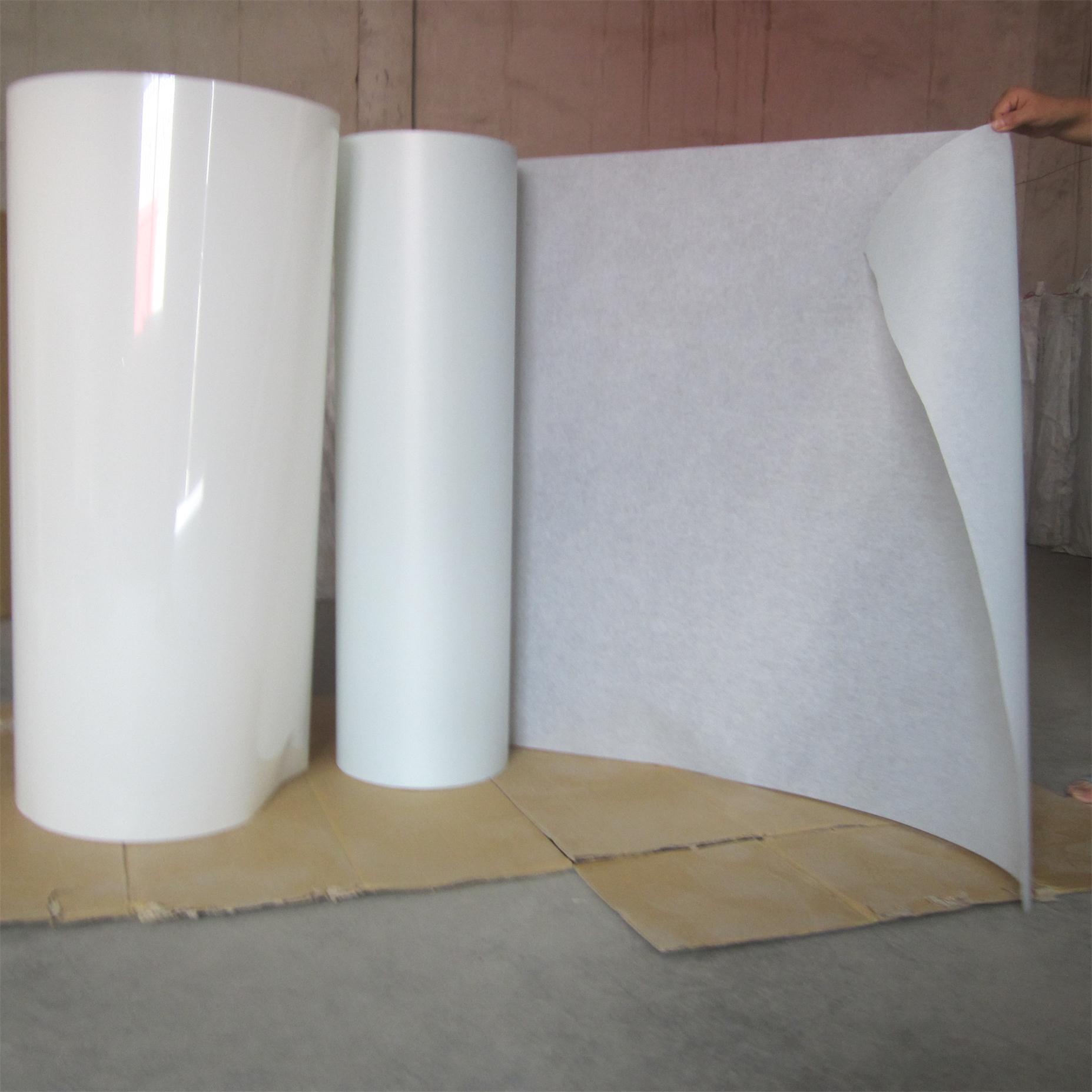 Mylar Polyester Film 6021
