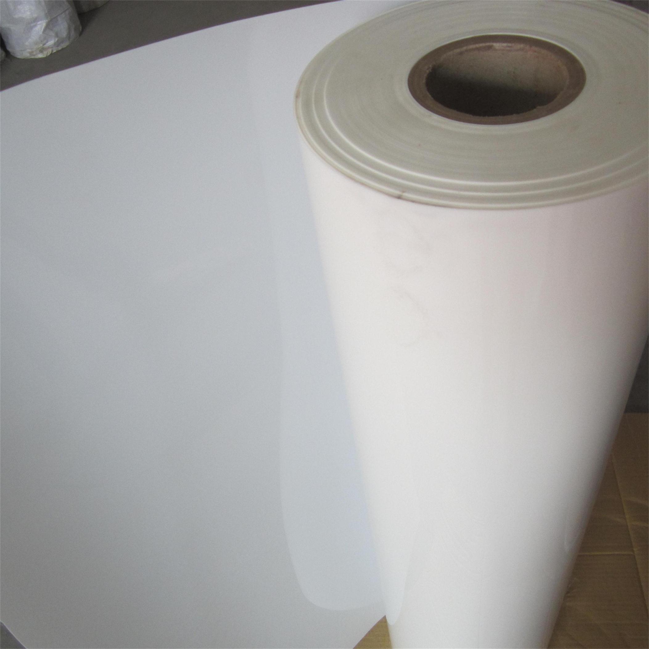Mylar Polyester Film 6021