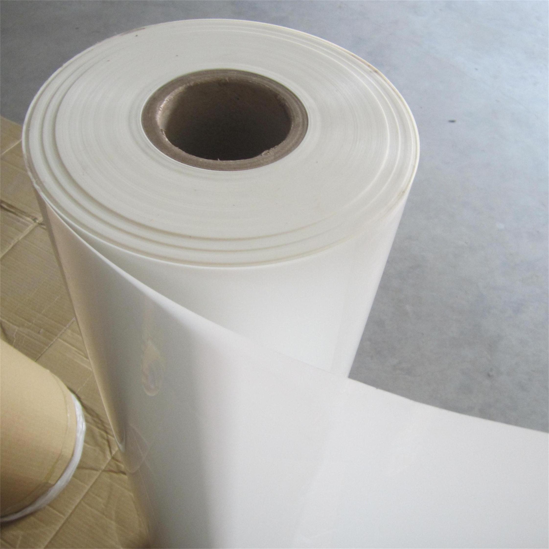 Mylar Polyester Film 6021